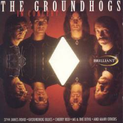 Groundhogs : In Concert